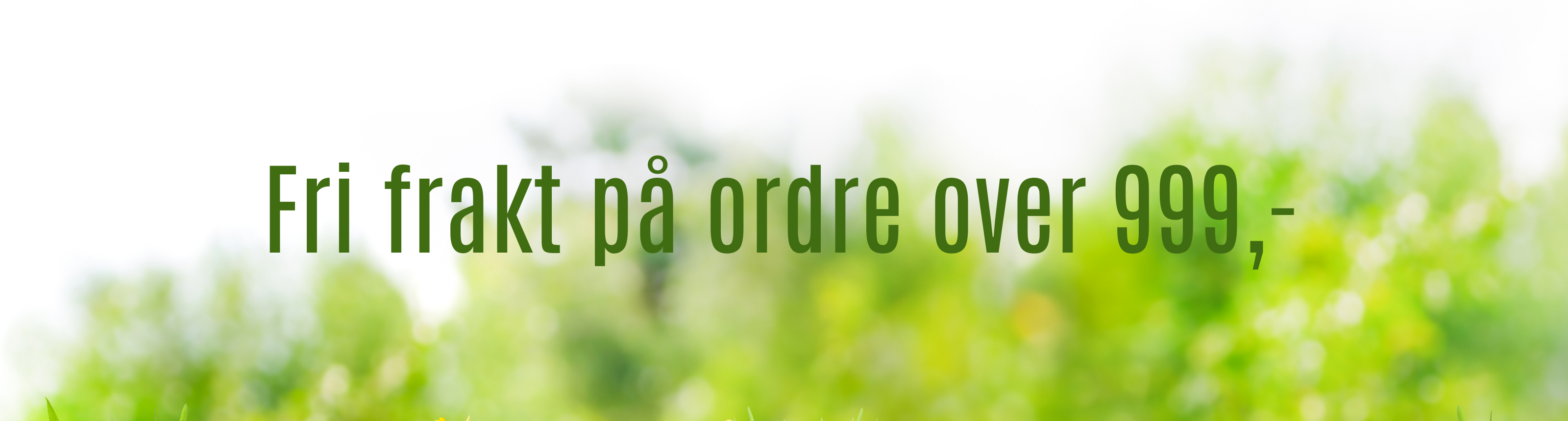 Fri frakt på ordre over 999,-